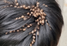 What should you do when you have ticks on body ?
